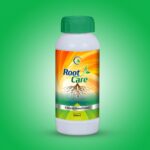 Root Care
